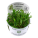 In-Vitro