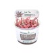 Cryptocoryne x Flamingo In-Vitro