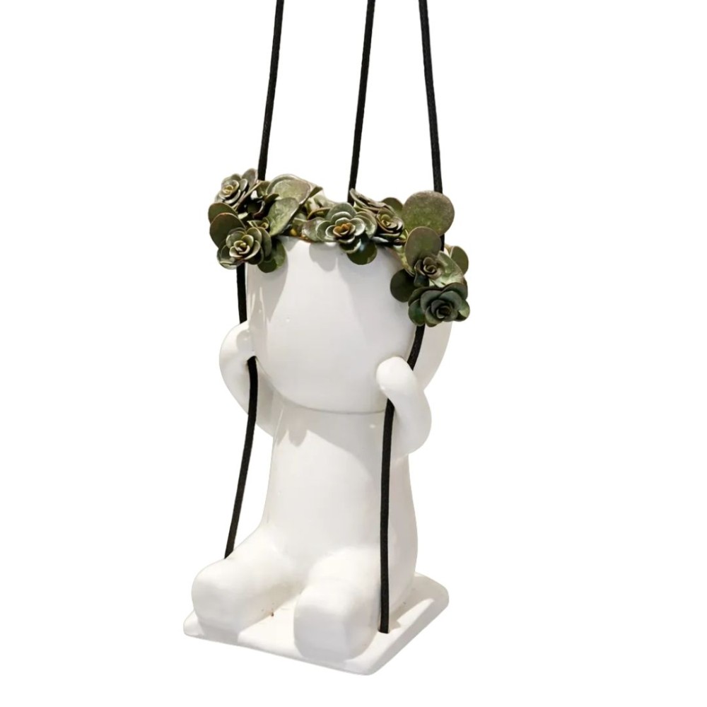Lazy Swing Man Mixed Plant  6cm