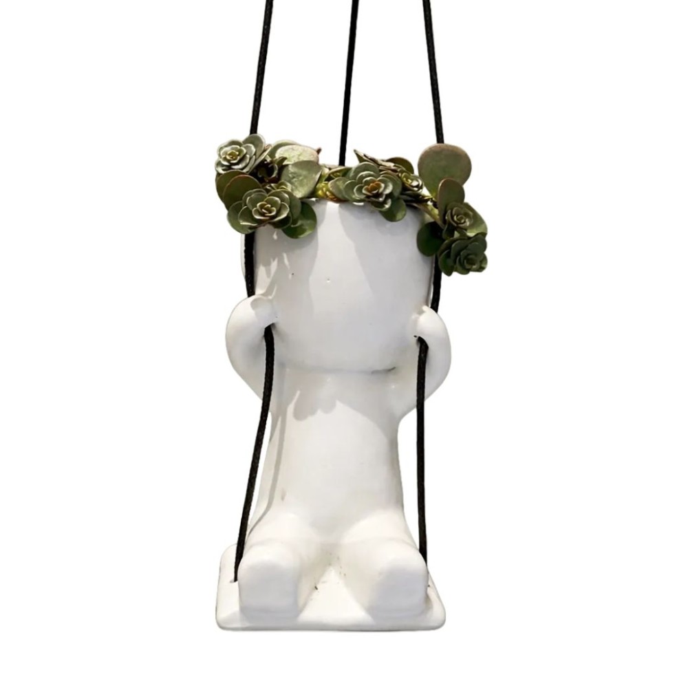 Lazy Swing Man Mixed Plant  6cm