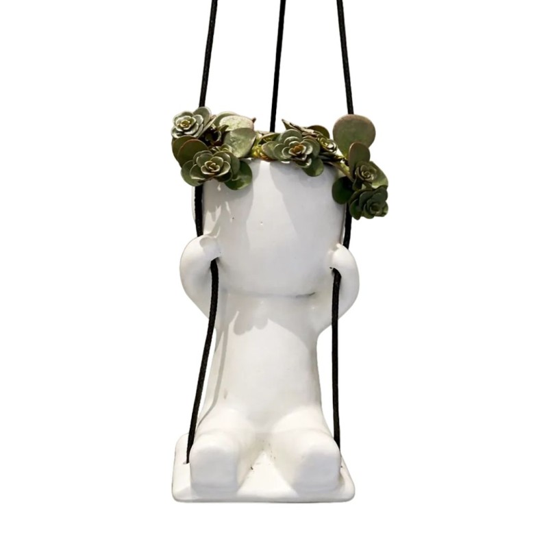 Lazy Swing Man Mixed Plant  6cm