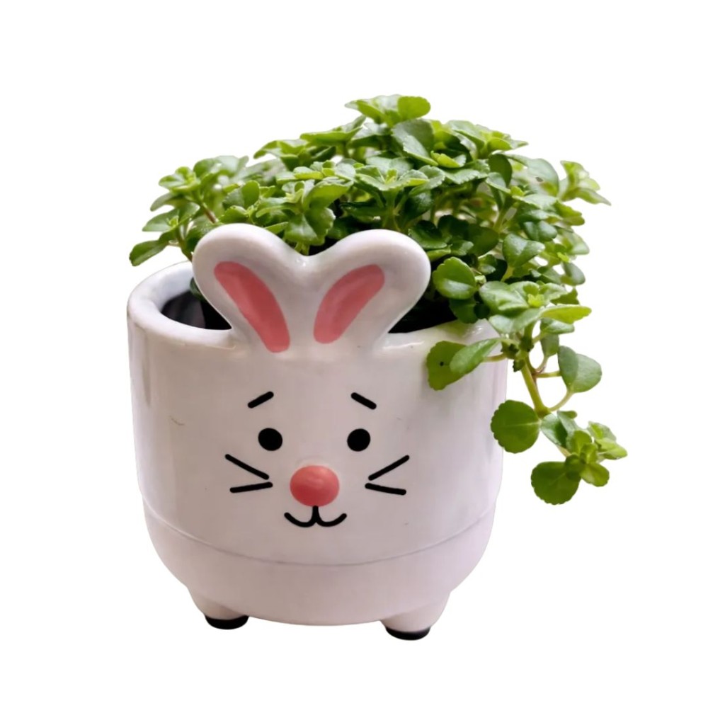 Farm Animal with Plant Mixed  8cm