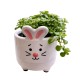 Farm Animal with Plant Mixed  8cm