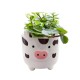 Farm Animal with Plant Mixed  8cm