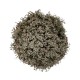 WIO Reindeer Moss