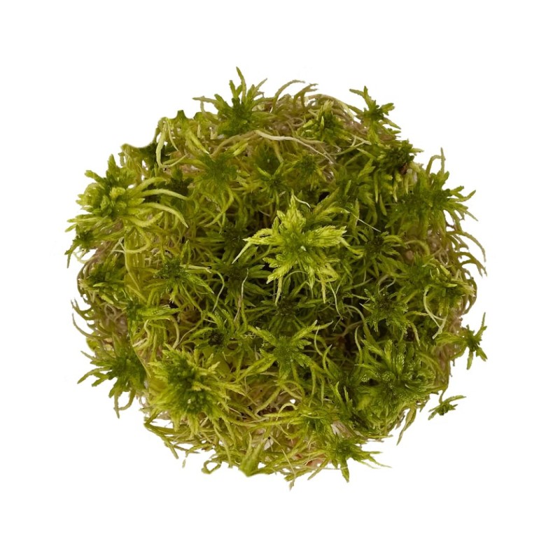 WIO Sphagnum Moss
