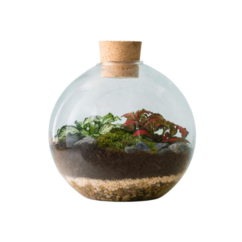 Terrarium Globe 12.5x15cm