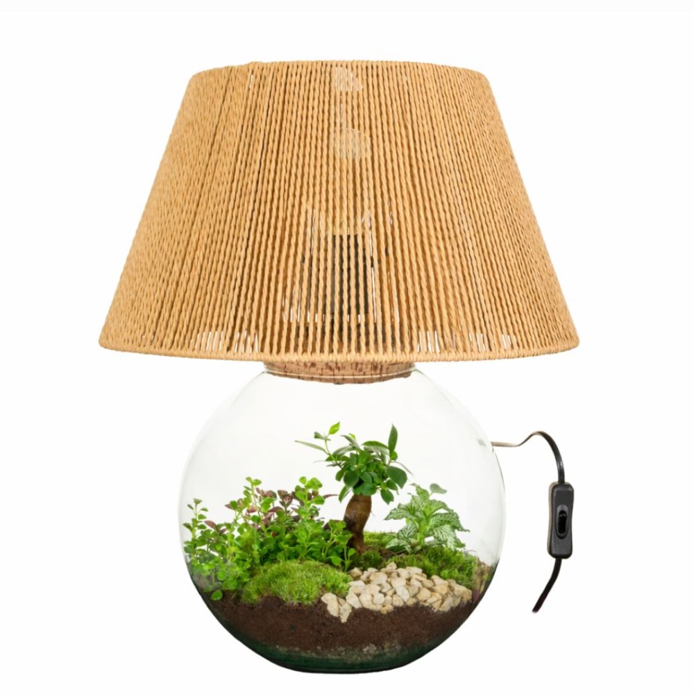 Terrarium moon light 40x55cm