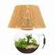 Terrarium moon light 40x55cm