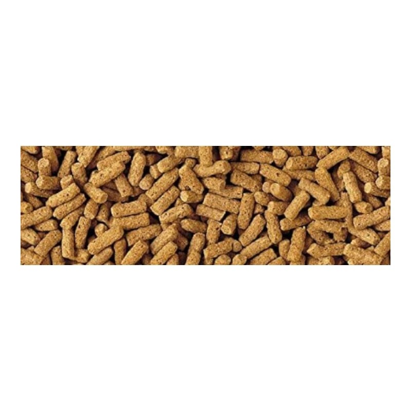 Tetra Wheatgerm Sticks 200g