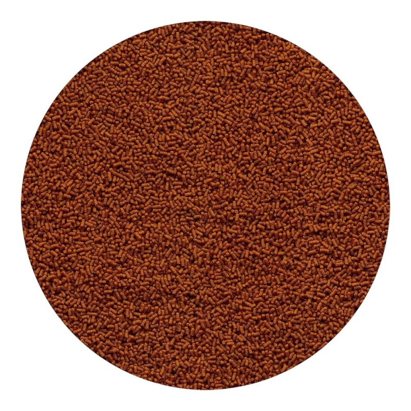 Tetra Sterlet Sticks 580g