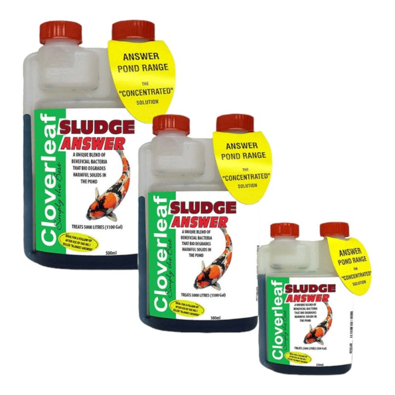 Cloverleaf Sludge Answer