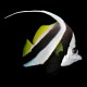 Schooling Bannerfish