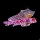 Scooter Blenny - Pink