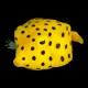 Polkadot Boxfish