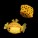 Box Fish & Puffers