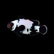 Black Snowflake Clownfish