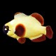 Golden Nugget Maroon Clown