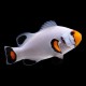 Platinum Clownfish