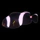 Sabae Black Clown