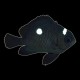 Domino Damselfish