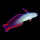 Purple Decorated Firefish