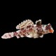 Pink Scooter Dragonet