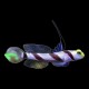High Fin Goby