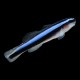Neon Goby