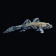 Paddlefin Goby