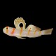 Randalls Shrimp Goby