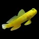 Yellow Watchman Goby