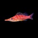 Longnose hawkfish