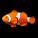 ClownFish