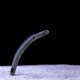 Garden Eel
