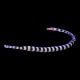 Banded Pipe Fish