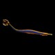 Bluestripe Pipefish
