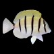 Convict Tang