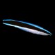 Cleaner Wrasse