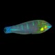 Hoevens Wrasse