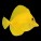 Tangs