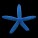 Star Fish