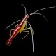 Skunk Cleaner Shrimp