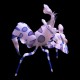 Harlequin Shrimp