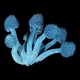 Blue Cauliflower Sponge