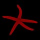 Red Starfish