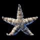 Sand sifiting Star