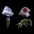 Reef Cleaner Packs