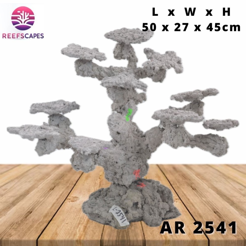 ReefScapes Large Scape Ref 2541