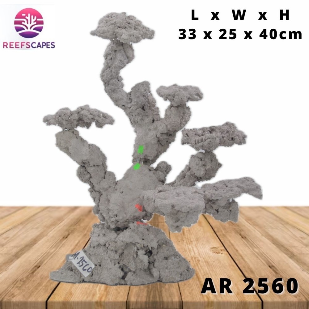 ReefScapes Medium Scape Ref 2560